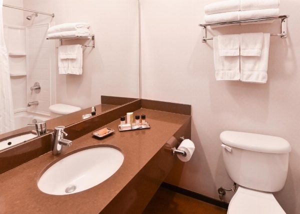 The Tangerine - a Burbank Hotel image 14